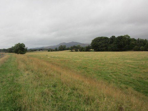 Photo 6x4 grazing land - grazing, the