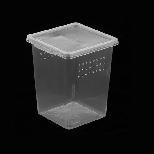 Snake habitat feeding box cage - habitat,
