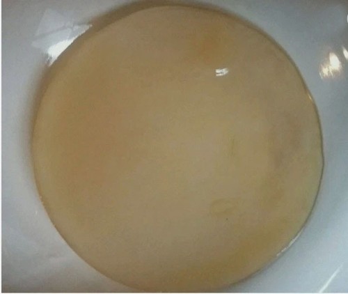 Live kombucha fresh - live,