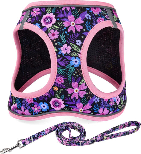 Step dog harness - in,