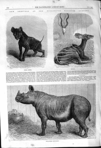 Old 1868 zoological - 1868,