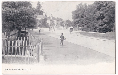 The long spring ewell surrey - the,