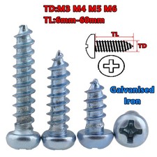 Self Tapping Phillips Screws