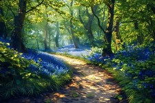 BLUEBELL WOODLAND FOREST CANVAS PICTURE PRINT WALL ART