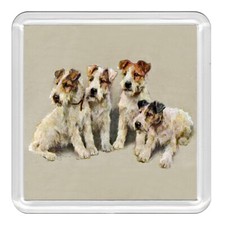 Wire Fox Terrier Dogs Dog