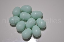 Dummy EGGS For canaries x10