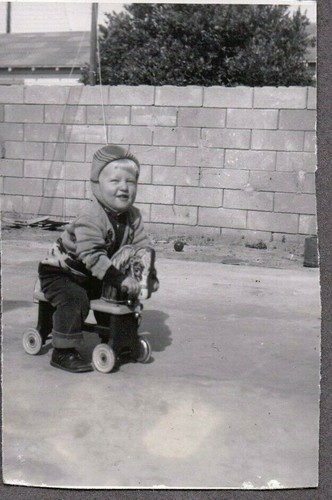 Vintage photograph 1940 s - vintage, 1940-50's