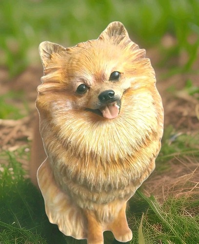 Danbury mint pomeranian - danbury, dog