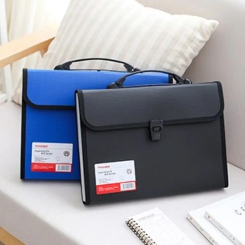 Expanding file pocket - 13,