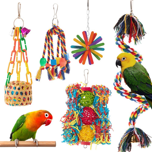 Bird toys parakeet toy - parakeet, parrot