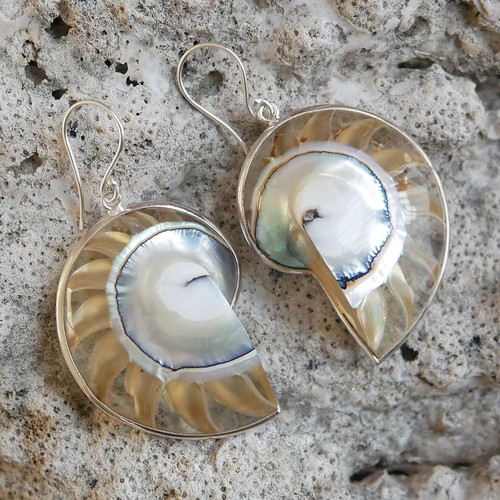 Clear nautilus shell earrings - clear,
