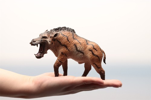 Earth story daeodon - story,