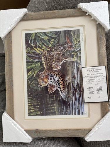Stephen gayford signed ltd - signed,