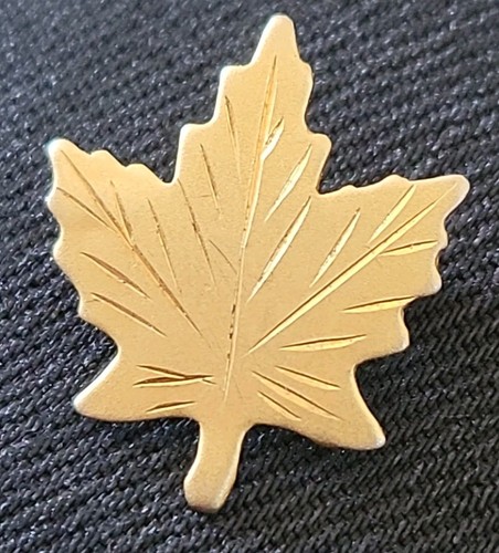 Beautiful canadian maple leaf - canadian,