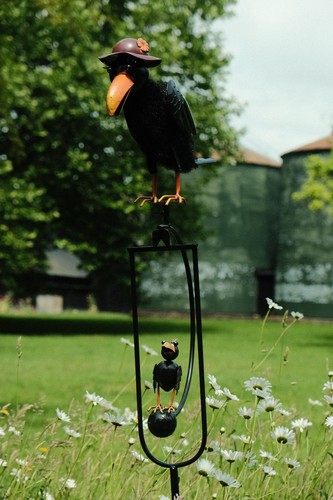 Rocking balancing mum - rocking, crow