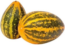 DOSAKAI CUCUMBER 5+ SEEDS -