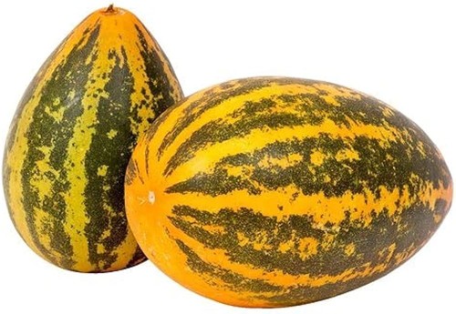 Dosakai cucumber seeds - dosakai,