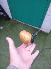 IRISH BLACKTHORN HIKING STAFF