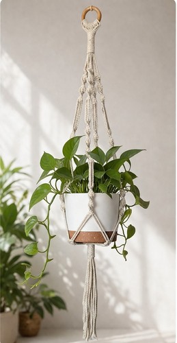 Handmade macrame plant hanger - plant,