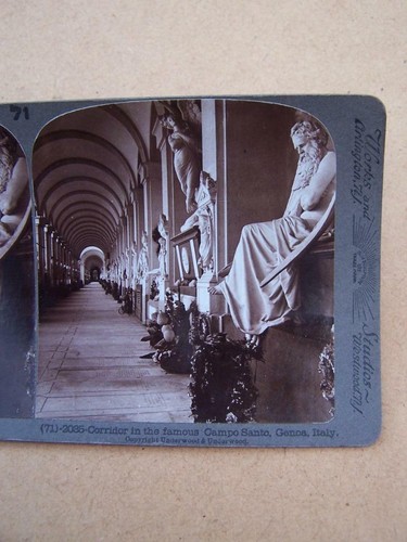Stereoscopic stereo view - stereoscopic, stereo-view