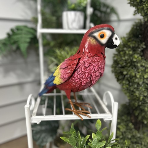 Line metal scarlet macaw - hi-line,