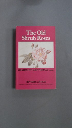 The old shrub - the, thomas