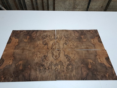 Burr walnut veneer 4 natural - burr,