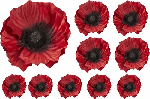 Red poppy flower - red,
