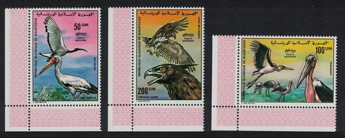 Ibis storks eagles - storks, birds