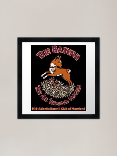 Mid atlantic basenji - mid-atlantic,