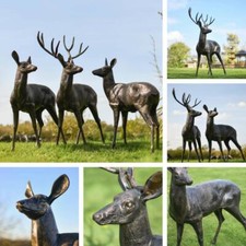 New Forest Standing Stag & Doe