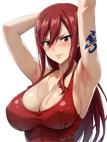 Erza scarlet fairy tail waifu - erza,