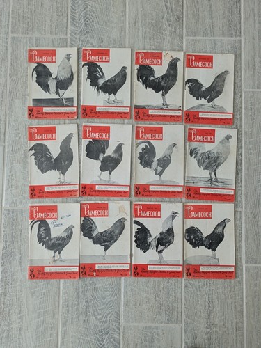 Vintage the gamecock - ,
