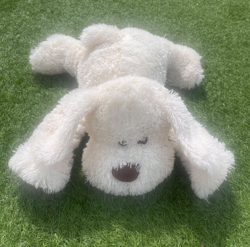 Bhs floppy dog - dog, white
