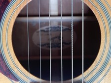 12 String Fender acoustic guitar F-310-12  used