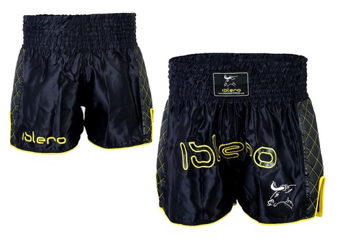 Evo muay thai - thai, mma