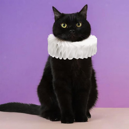 Cat dog collar fancy dress - cat,