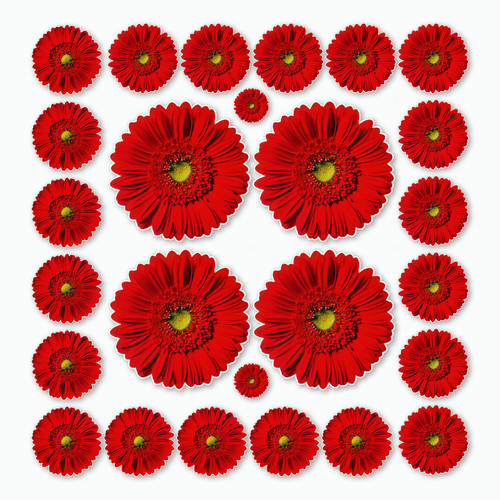 Gerber flower stickers theme