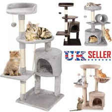 Multilevel Cat Tree Scratching