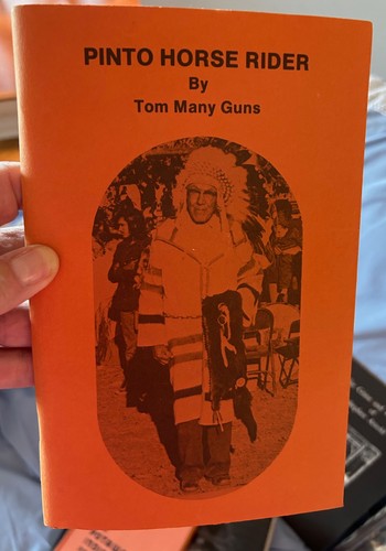 Pinto horse rider tom - rider, many