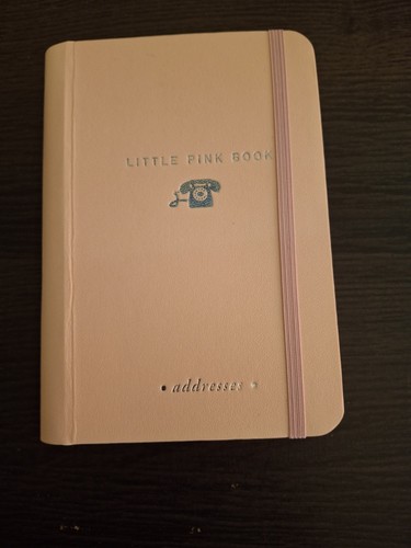 Little pink address book - little,