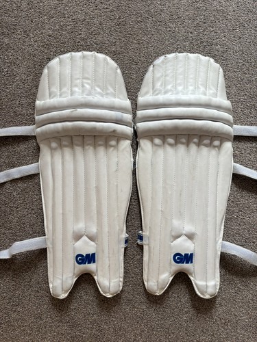 Siren cricket batting - cricket,
