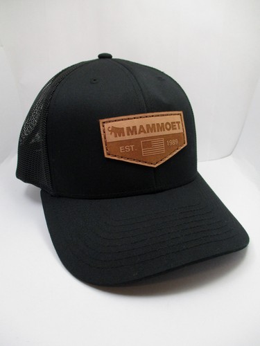 Mammoet heavy lifting - mammoet,