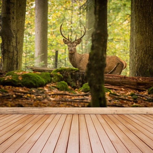 Fleece wall mural photo - fleece,