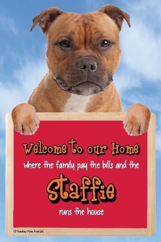 Staffie dog sign - , welcome