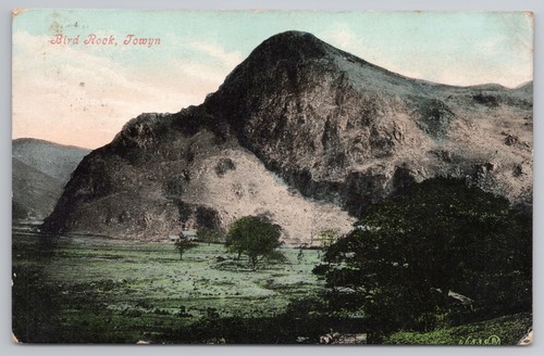 Postcard antique military bird - antique,