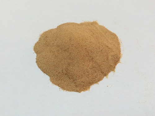 Brewers yeast powder food - powder,