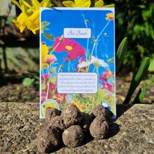 Wildflower Seed Balls Bee