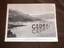 Vintage Advertising for