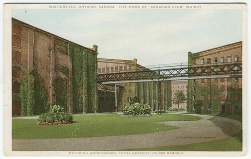 Canadian club whiskey - club,